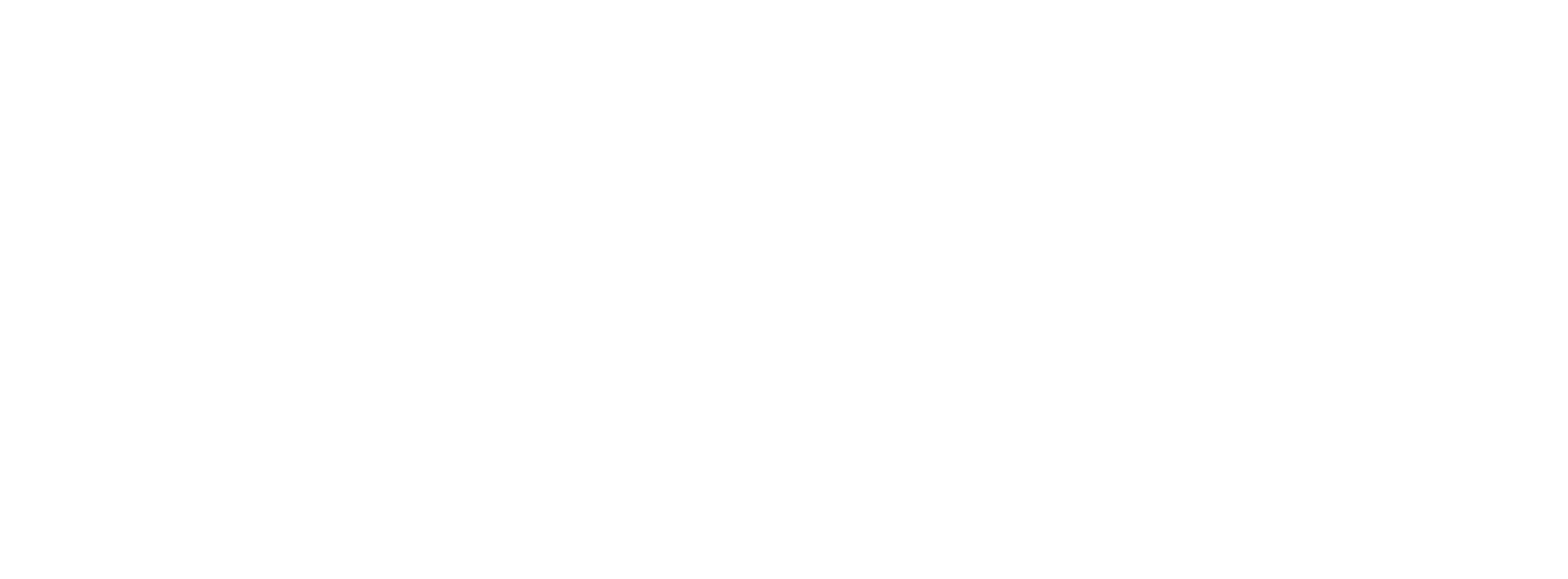 White SNCE800 Overview Correct